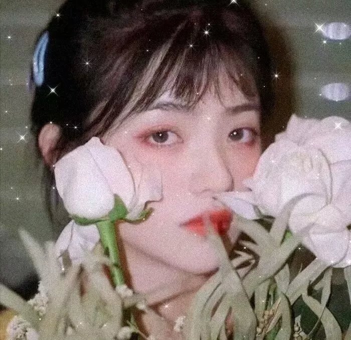 嘉庆传奇